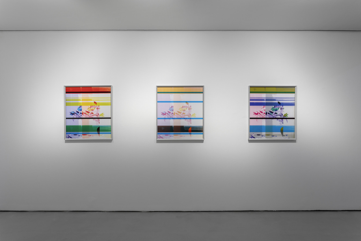 The Matter Of The Glazed Fence