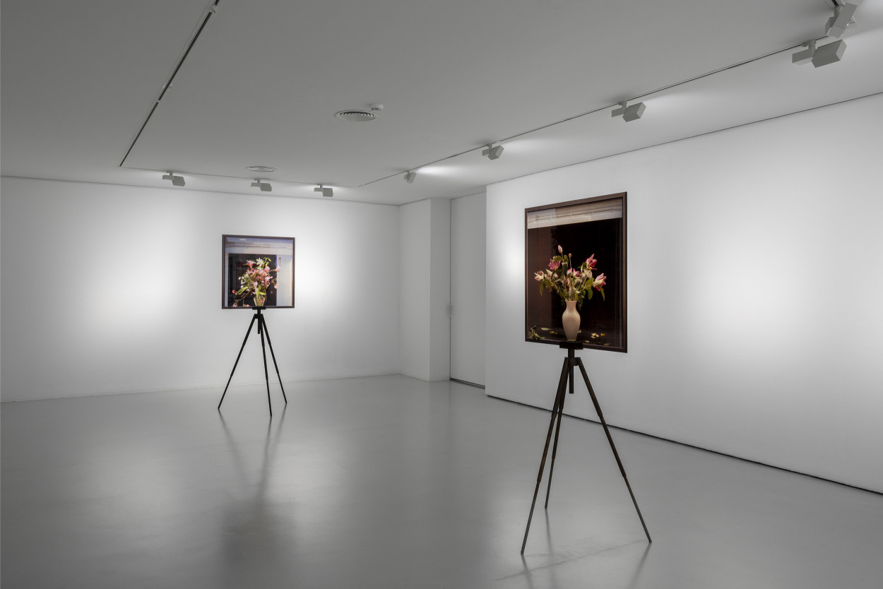 The Matter Of The Glazed Fence